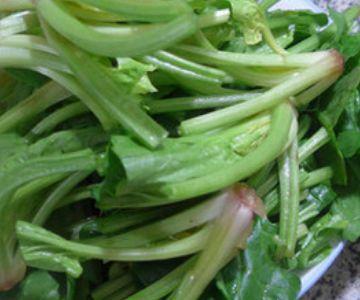 菠菜与茭瓜能一起吃吗,营养搭配与食用禁忌解析 第3张 菠菜与茭瓜能一起吃吗,营养搭配与食用禁忌解析 第3张
